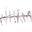 dualipatourmerch.com favicon